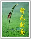 双节棍与荷叶鸡