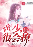 重生校园:帝少,很会撩