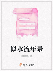 似水流年录