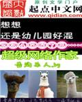超级网络作家