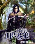 网游之佣兵苍狼