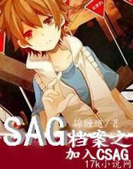 SAG����֮����CSAG